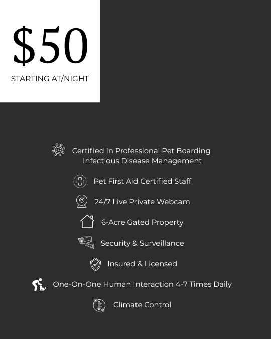 $50